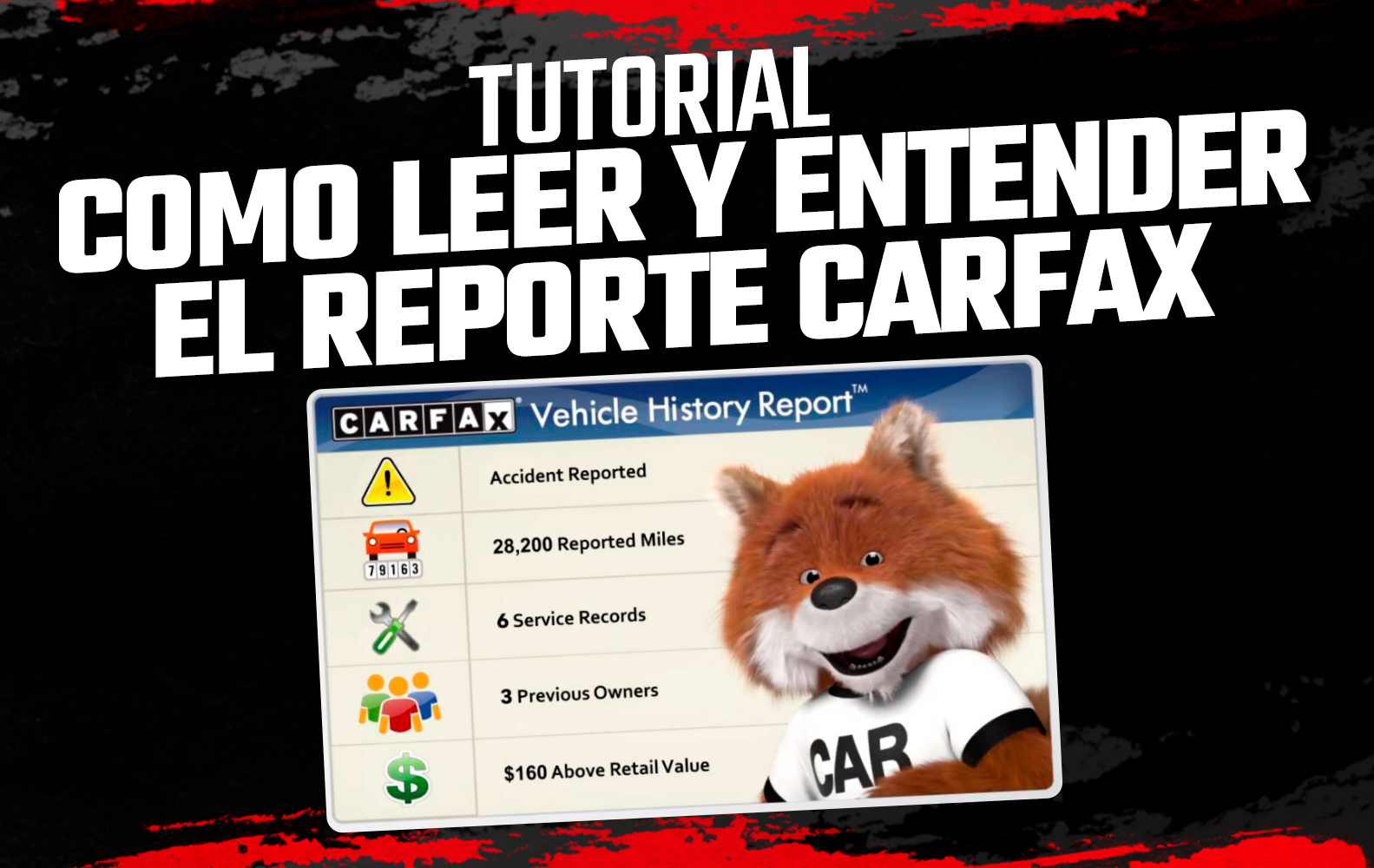 Como Leer Y Entender El Reporte Carfax Apvacademy Com